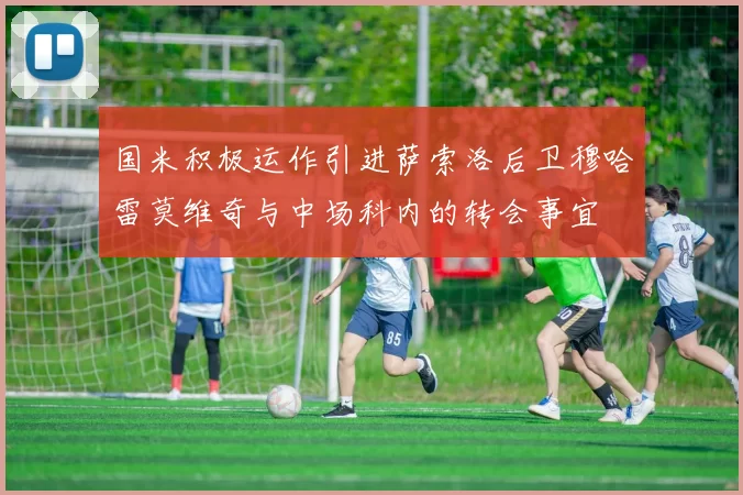 国米积极运作引进萨索洛后卫穆哈雷莫维奇与中场科内的转会事宜